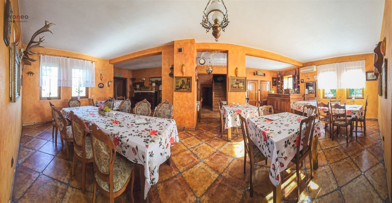 Hotel/pensjonat Mogilno. Zdjęcie 11