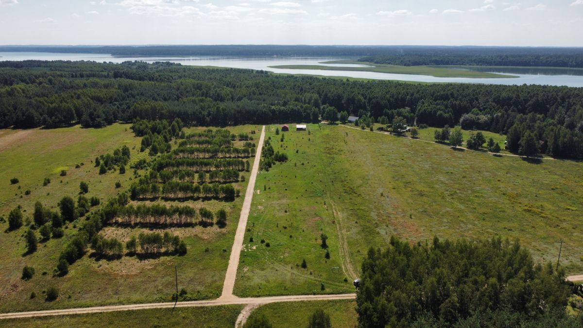 Działka budowlana Pilchy. Zdjęcie 11