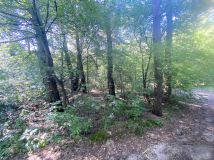 Działka leśna Kamianka. Zdjęcie 2