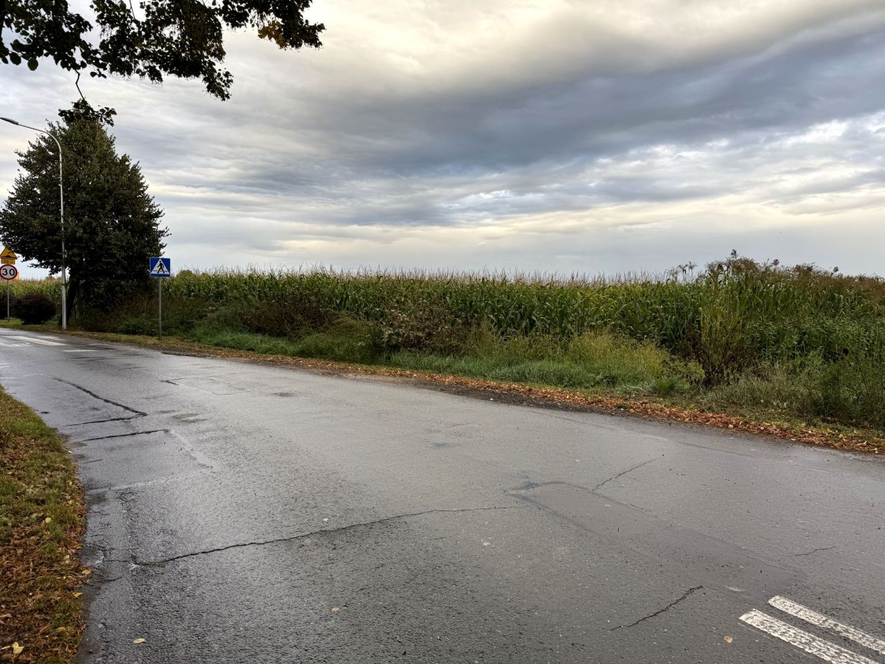 Działka budowlana Biestrzyków, ul. Akacjowa. Zdjęcie 4