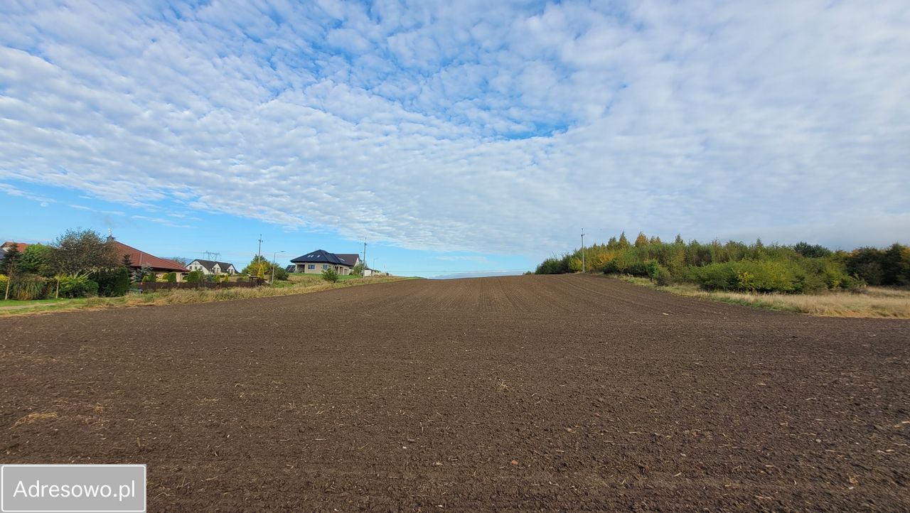 Działka budowlana Strzelinko. Zdjęcie 5