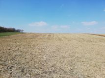 Działka rolna Studzianki. Zdjęcie 4