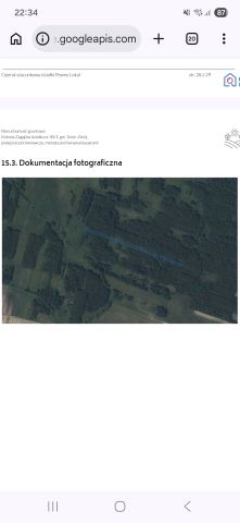 Działka rolna Kolonia Zagajów, Zagajów. Zdjęcie 1