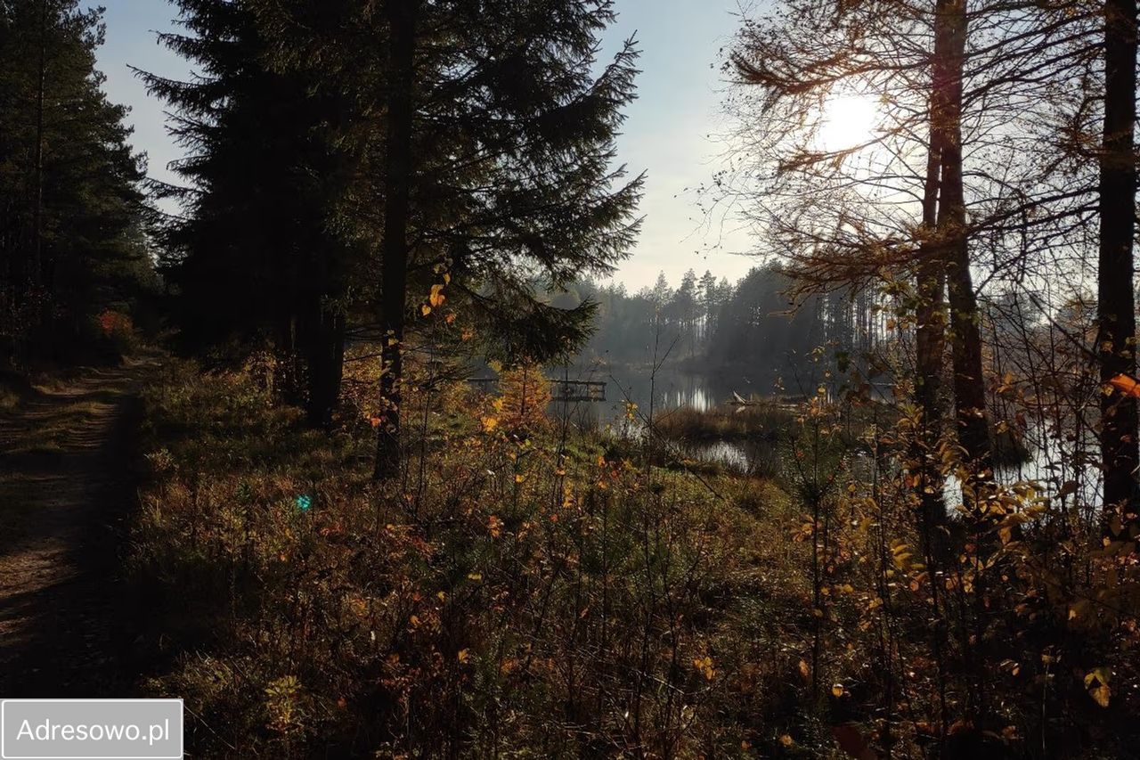 dom wolnostojący, 10 pokoi Tuszkowy. Zdjęcie 6