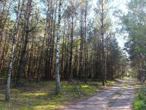 Działka rolna Parma. Zdjęcie 2