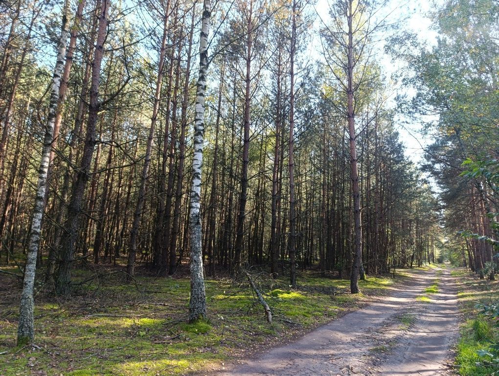 Działka rolna Parma. Zdjęcie 3