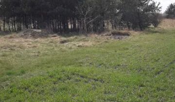 siedlisko, 5 pokoi Dobrzyń