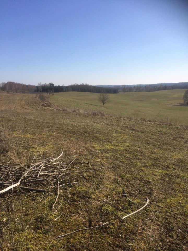 Działka rolna Tumiany. Zdjęcie 5