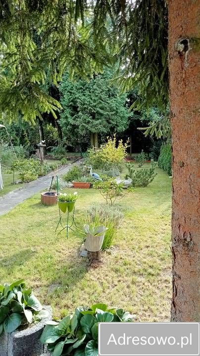 Działka rod Łódź Radogoszcz, ul. Brzegowa. Zdjęcie 6