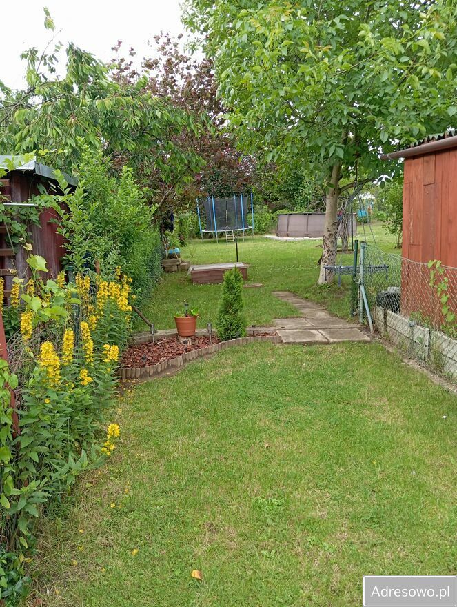 Działka rod Elbląg Bielany, ul. Okrężna. Zdjęcie 2