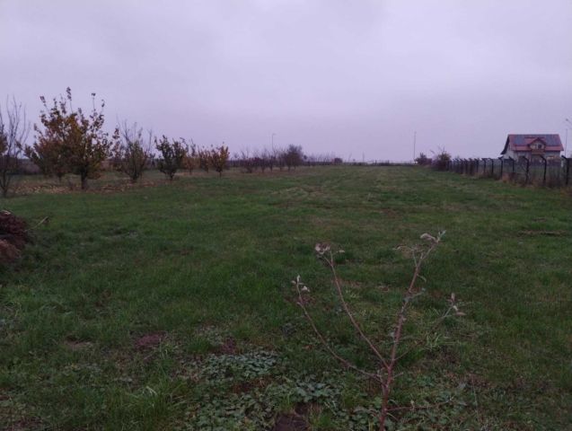 Działka budowlana Krobia. Zdjęcie 1