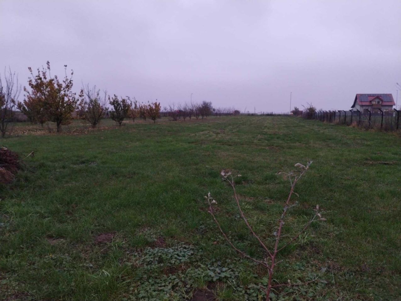 Działka budowlana Krobia