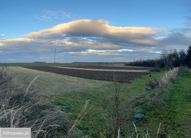 Działka budowlana Ząbkowice Śląskie. Zdjęcie 1