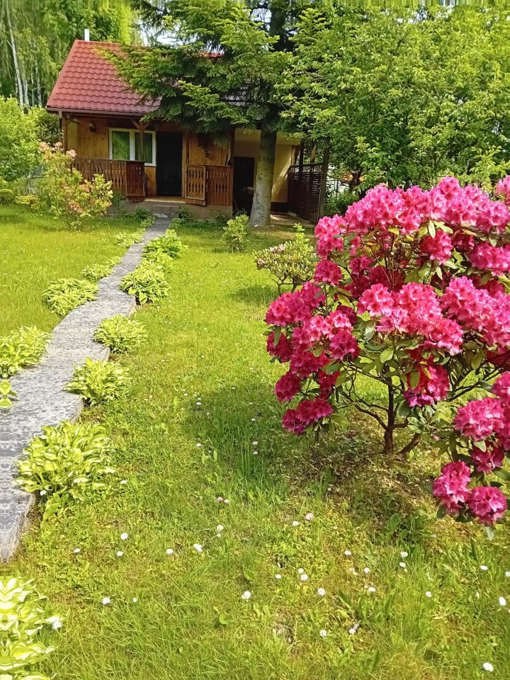 Działka rod Kraków Bronowice, ul. Sportowa. Zdjęcie 4