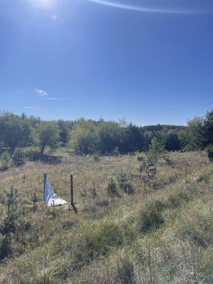 Działka budowlana Żagno. Zdjęcie 3