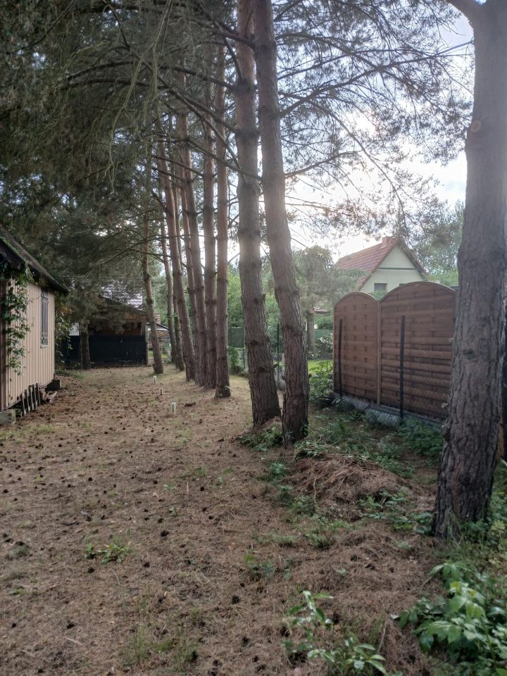 Działka rekreacyjna Gościm, os. Polanka. Zdjęcie 5