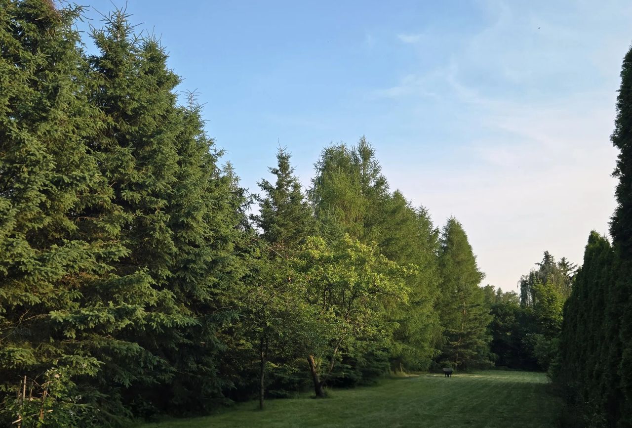 dom wolnostojący, 3 pokoje Sierpc, ul. Targowa. Zdjęcie 8