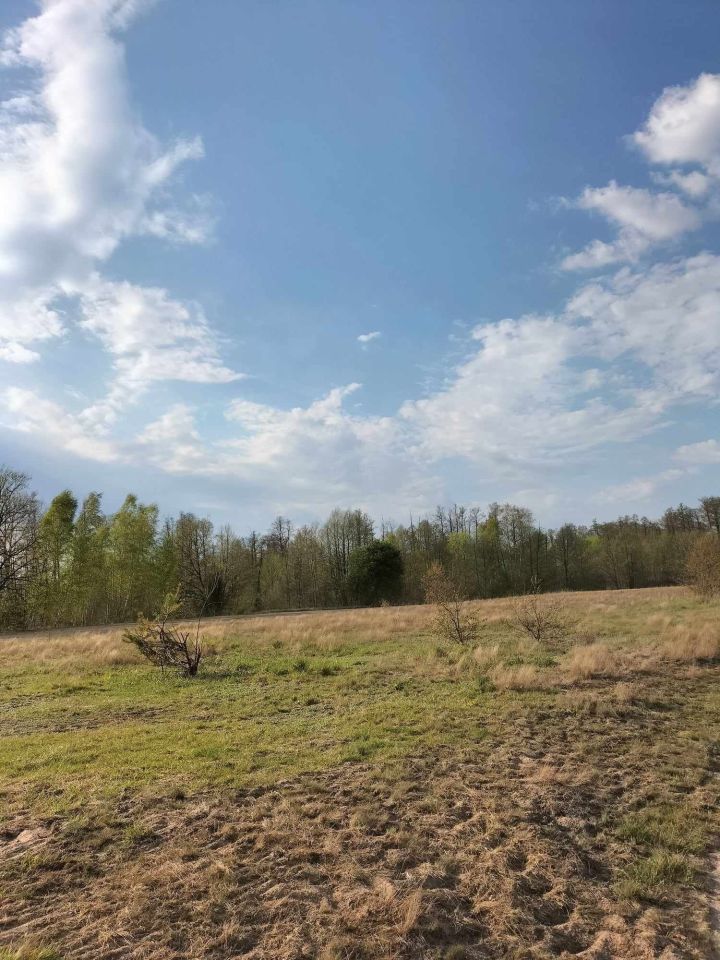 Działka rekreacyjna Orłowo. Zdjęcie 8