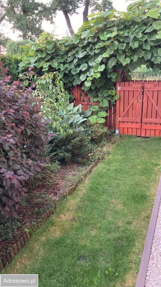 dom wolnostojący, 6 pokoi Opole Stare Miasto. Zdjęcie 4