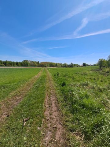 Działka budowlana Borek. Zdjęcie 3