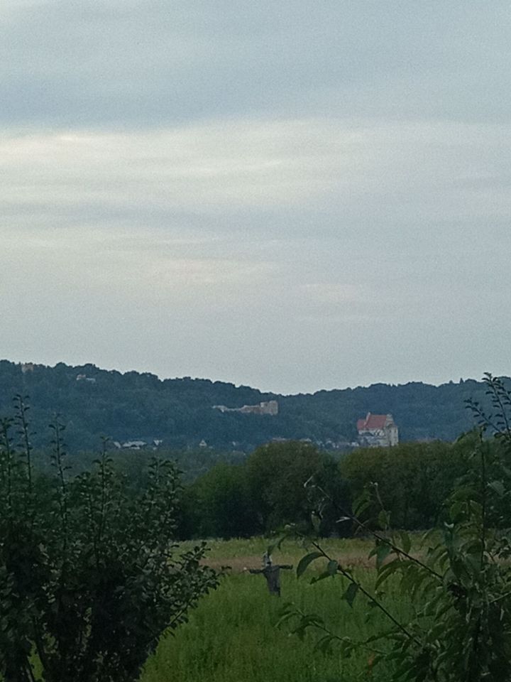 Działka Wojszyn. Zdjęcie 3