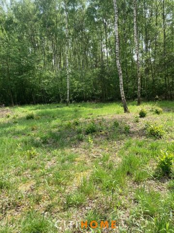 Działka budowlana Sobieńki. Zdjęcie 3