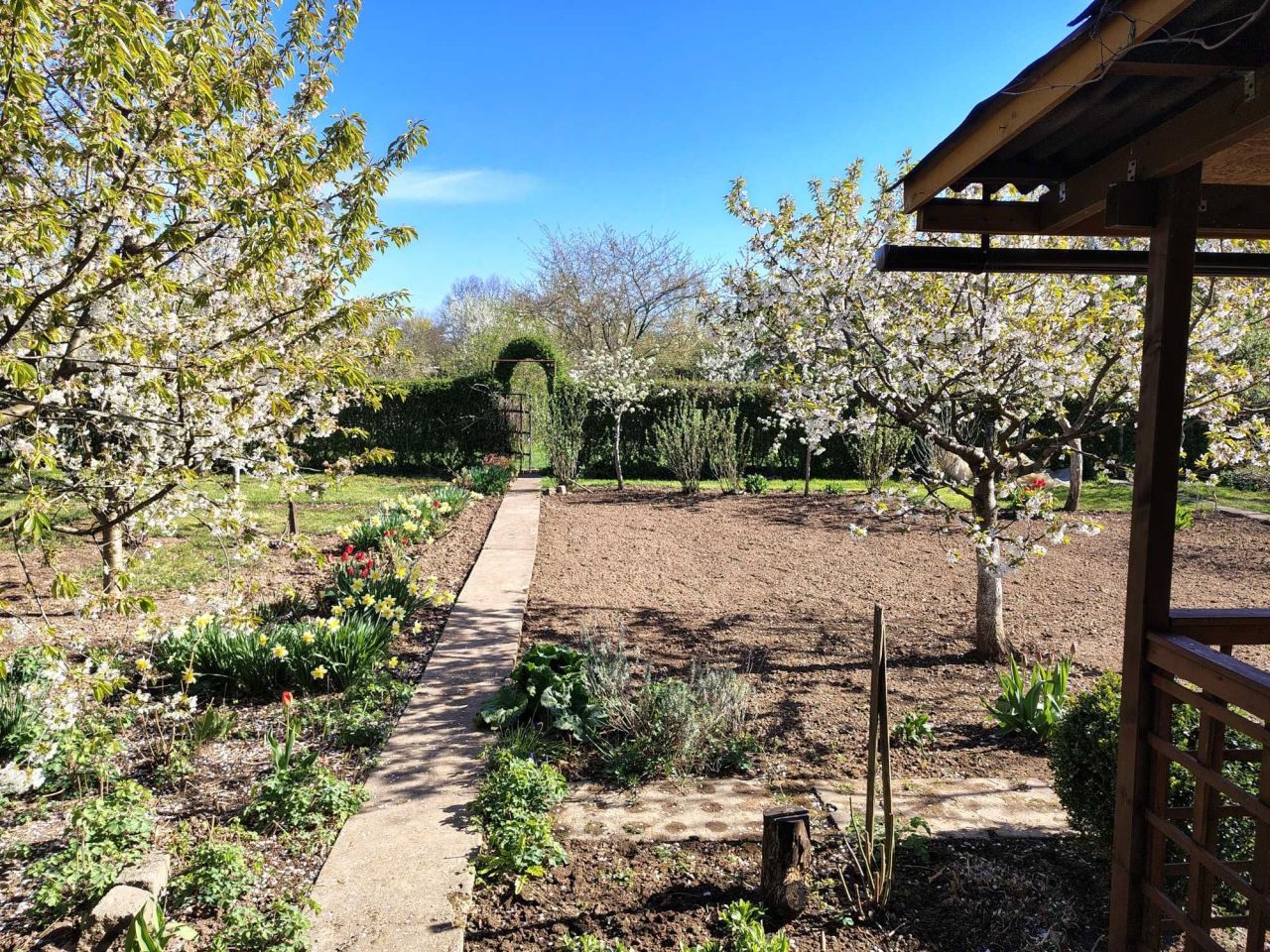 Działka rod Legnica, ul. Ogrodowa. Zdjęcie 2