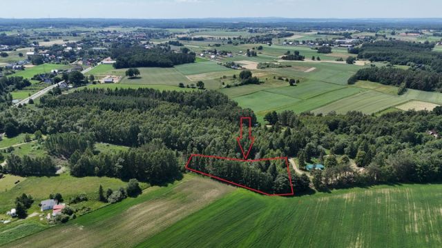 Działka budowlana Przyjaźń, ul. Zielone Wzgórze. Zdjęcie 3