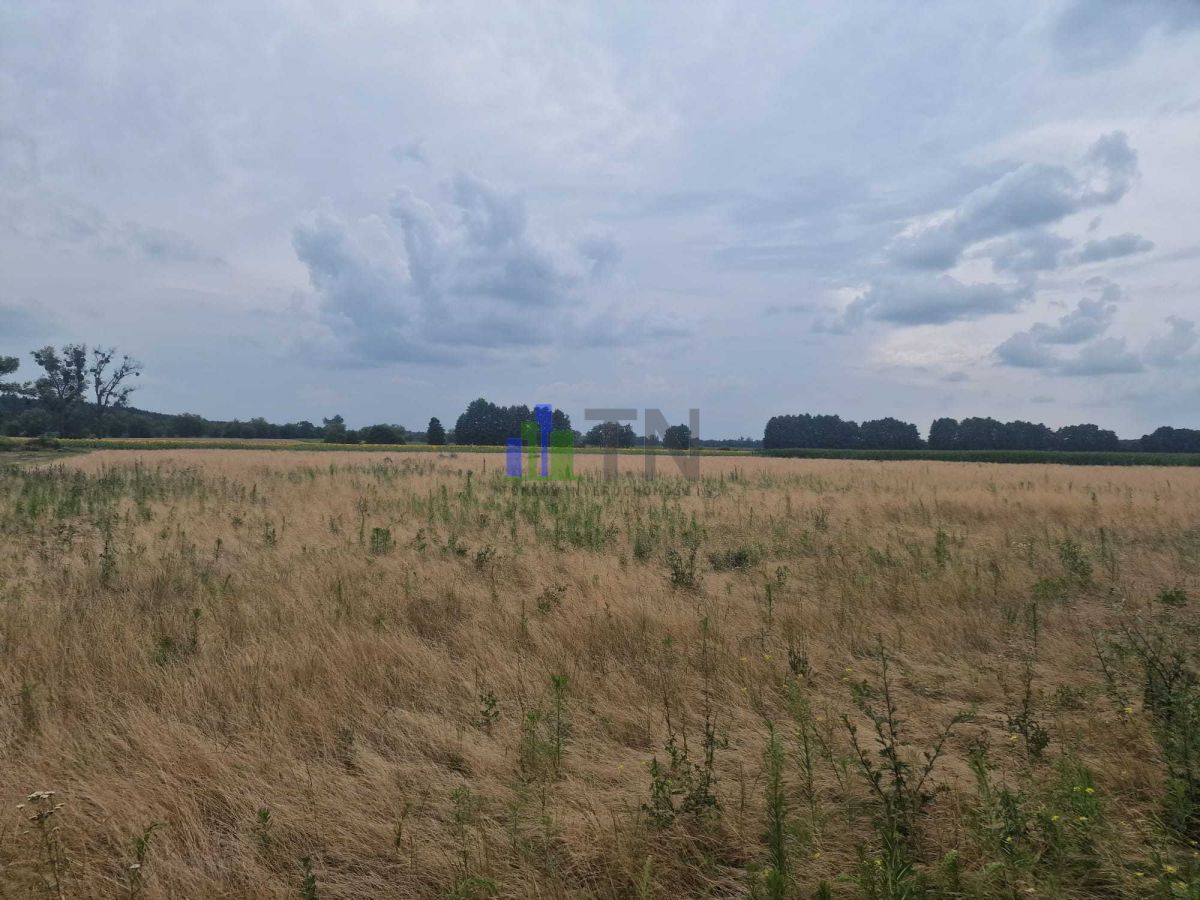 Działka budowlana Miłocice. Zdjęcie 8
