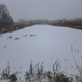 Działka rolna Okołowice. Zdjęcie 3