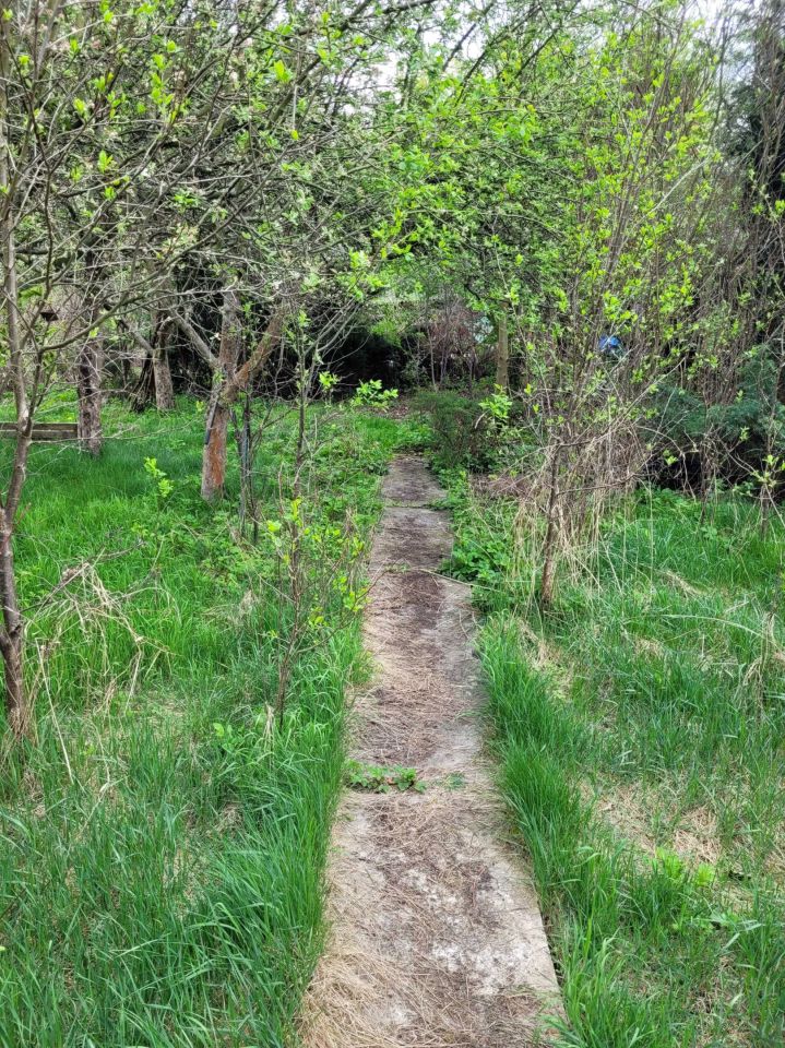 Działka rod Wrocław Partynice, ul. Ołtaszyńska. Zdjęcie 3