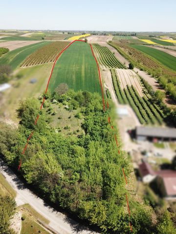 Działka rolna Wilczyce. Zdjęcie 1