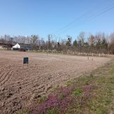 Działka rolno-budowlana Helenów. Zdjęcie 2