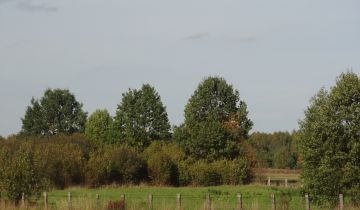 Działka rekreacyjna Suskowola