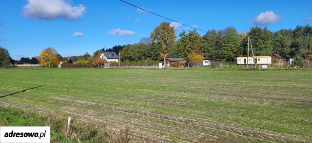 Działka rolno-budowlana Wilków. Zdjęcie 16