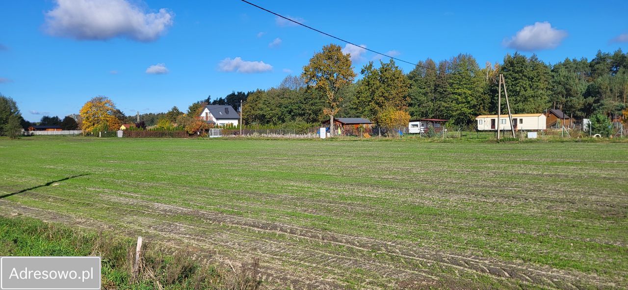 Działka rolno-budowlana Wilków. Zdjęcie 5
