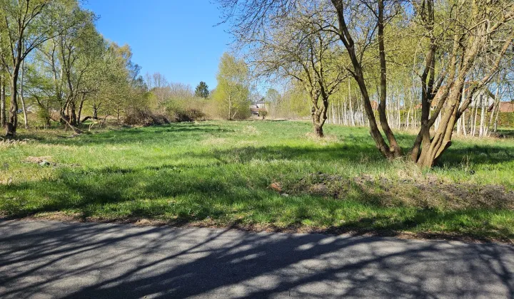 Działka budowlana Trzebież, ul. Brzozowa