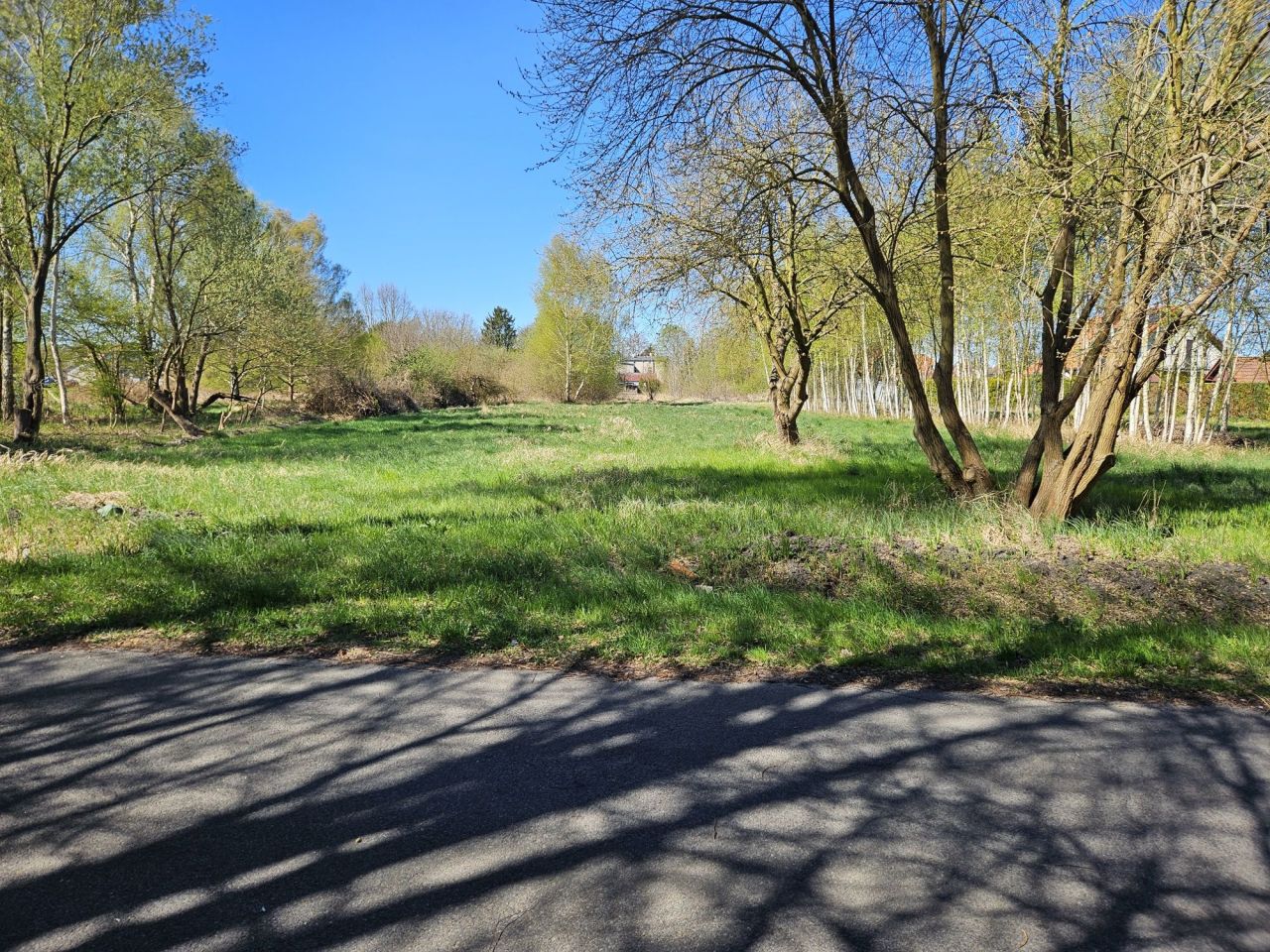 Działka budowlana Trzebież, ul. Brzozowa. Zdjęcie 1