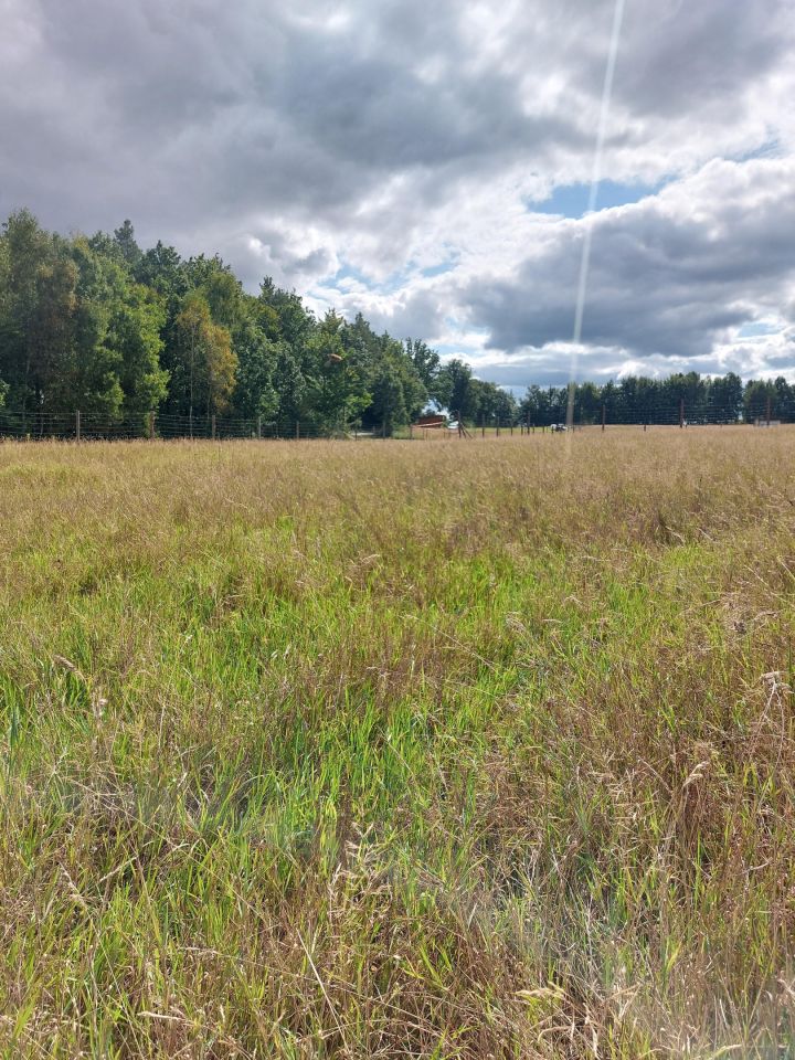 Działka budowlana Pieski. Zdjęcie 4