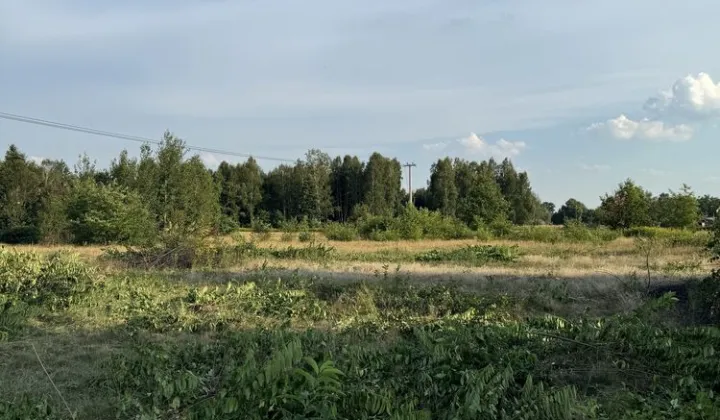 Działka budowlana Przyszów Staw