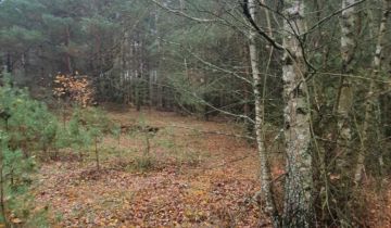 Działka leśna Helenów