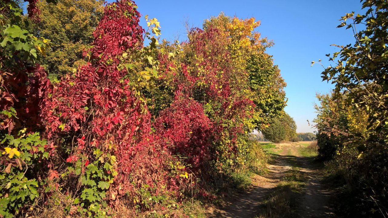 bliźniak, 3 pokoje Sulimierz. Zdjęcie 19