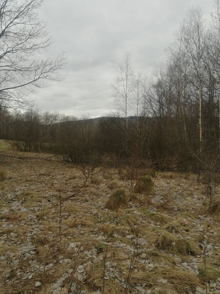 Działka rolna Rozdziele. Zdjęcie 7