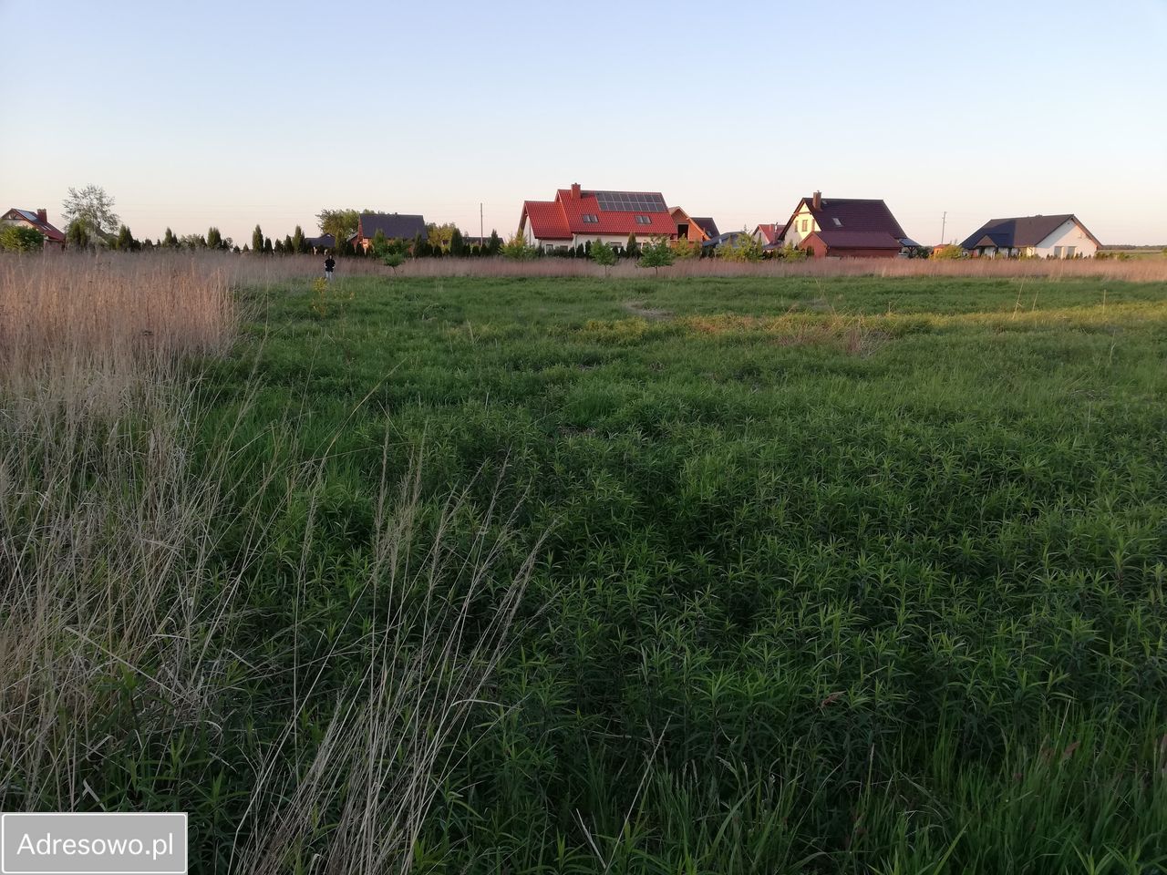 Działka budowlana Syców, ul. Bolesława Szczodrego. Zdjęcie 3