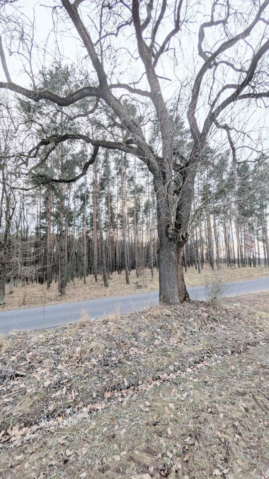 Działka budowlana Potrzanowo Włókna, ul. Skocka. Zdjęcie 6