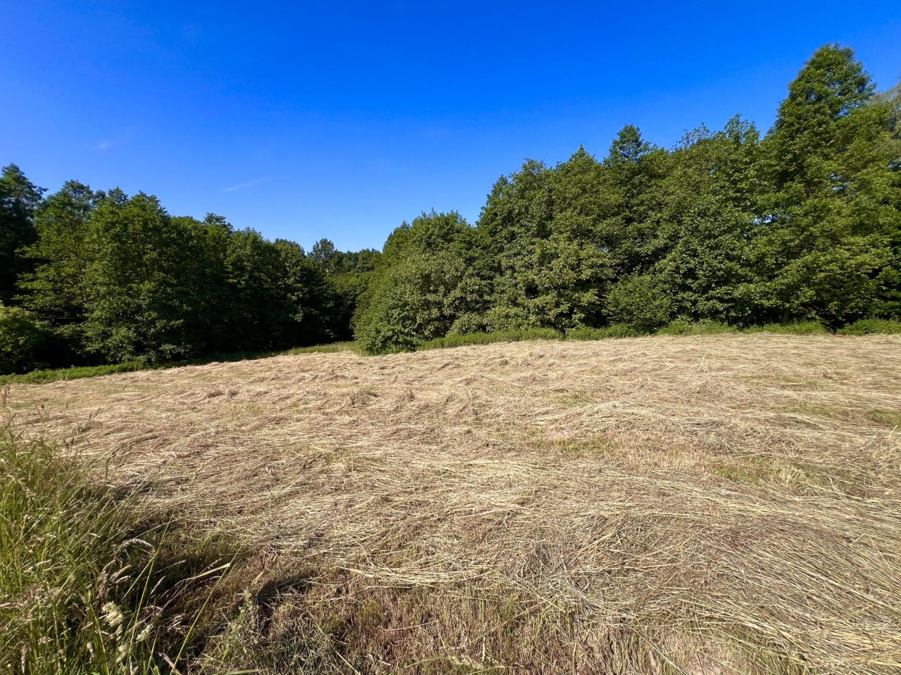 Działka budowlana Pszów, Pszów. Zdjęcie 10