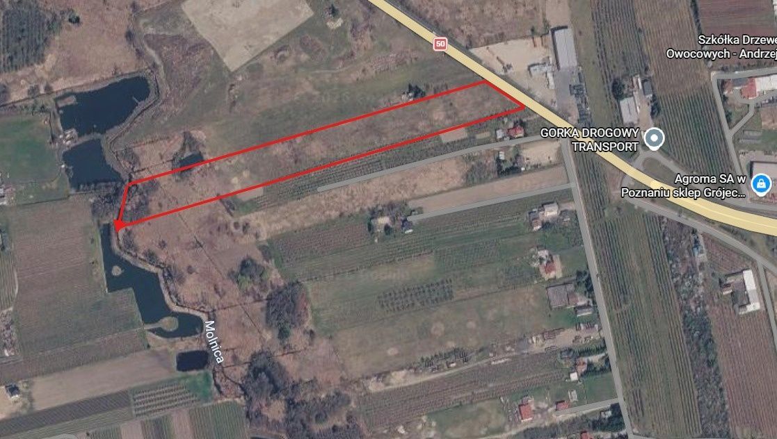 Działka rolna Worów. Zdjęcie 2