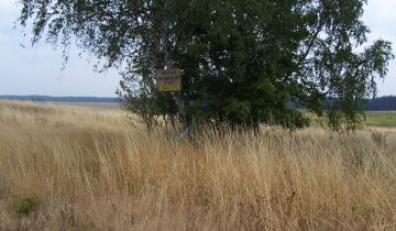 Działka inwestycyjna Torzym Świebodzińska Kolonia