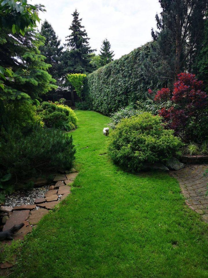 bliźniak, 6 pokoi Płońsk, ul. Wojska Polskiego. Zdjęcie 15