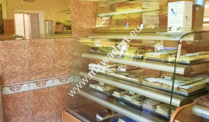Nieruchomość komercyjna Milanówek